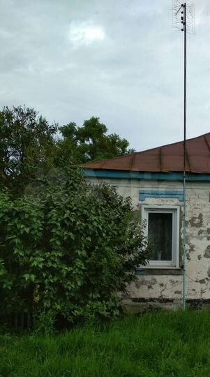 Дом 59 м² на участке 40 сот.