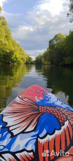 Сап прокат, аренда сап борда, Sup board