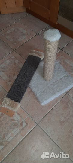 Когтеточка