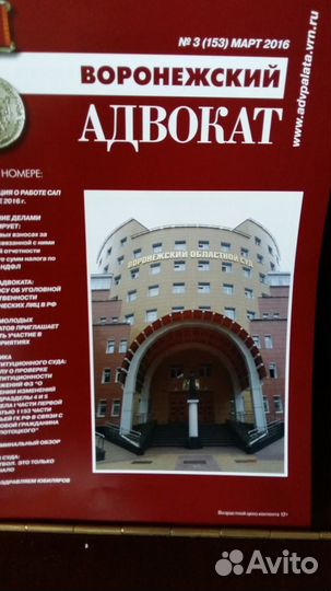 Профессиональный адвокат