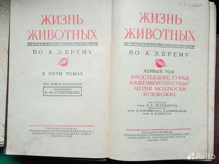 Жизнь Животных Брэм