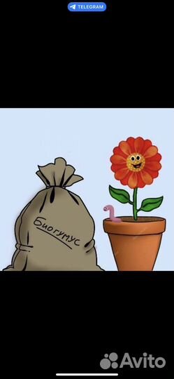 Биогумус,Натуральное Удобрение,Просеянное