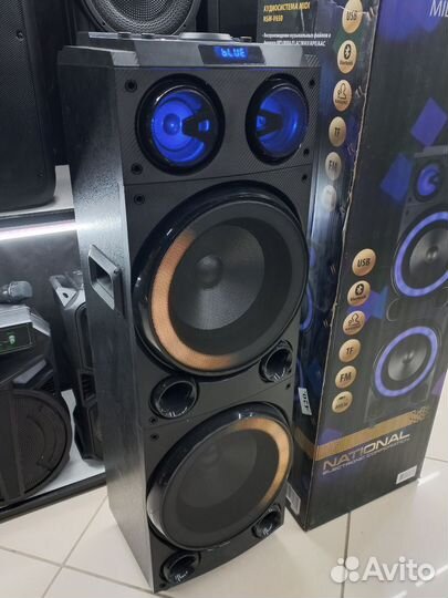 Большая мощная колонка 1000вт national NSM-V650