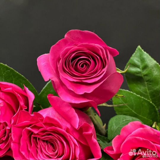 Букет из 45 высоких розовых роз