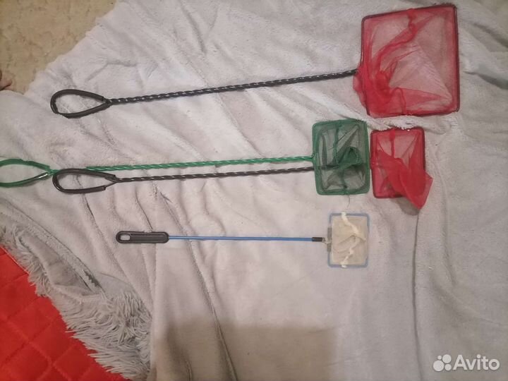 Растения. Оборудование для аквариума