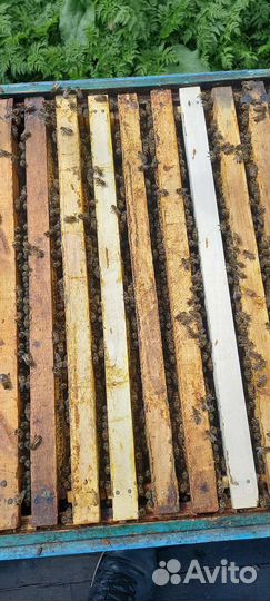 Прицеп для перевозки пчёл