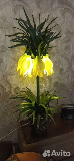 Гиппиаструм