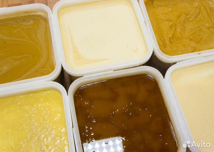 2024 Мед натуральный из Алтая оптом