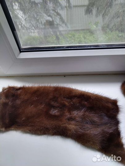 Шкурки норки