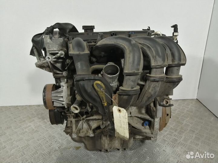 Двигатель Ford Focus 2 shda 1.6 бензин 2006