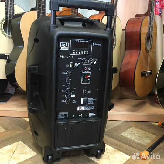 Акустическая система с 2 микрофонами