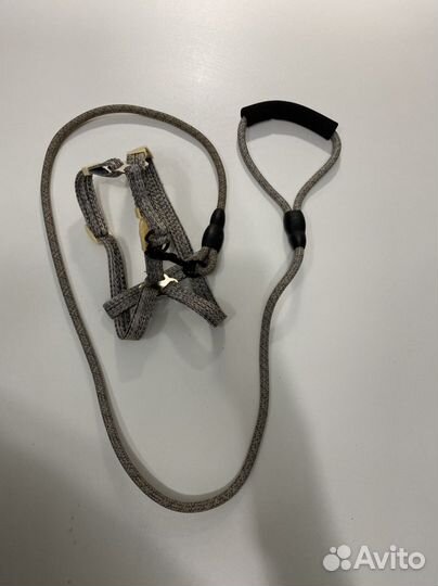 Шлейка для собак