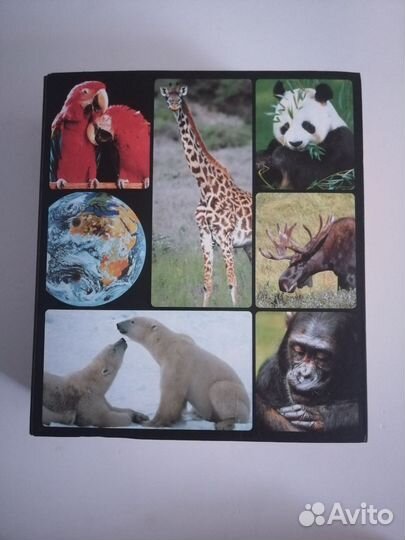 Энциклопедия