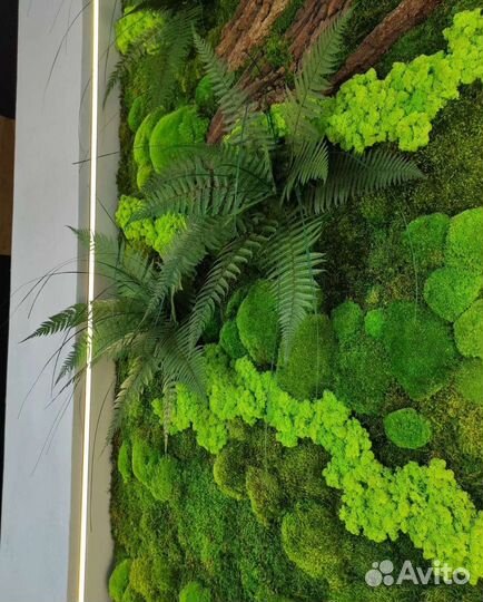 Мох стабилизированный фитокартина фитостена панно