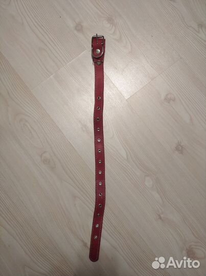 Ошейник для собак Arkon