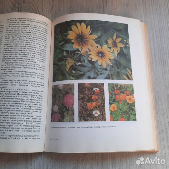 Учебная книга цветовода. 1974 г