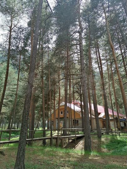 Гостиница, 805 м²