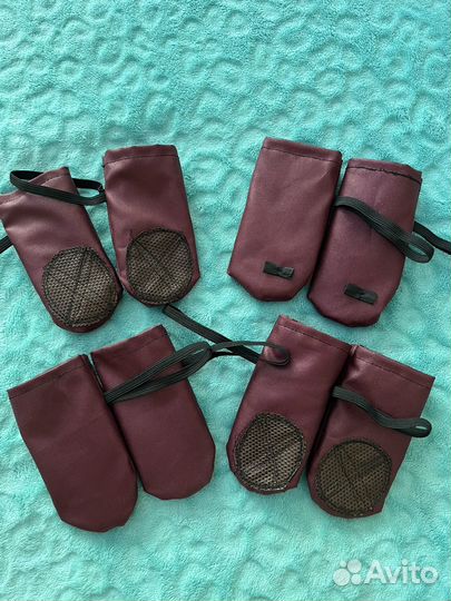 Обувь для собак