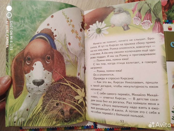 Детские книги с рассказами о природе и о животных