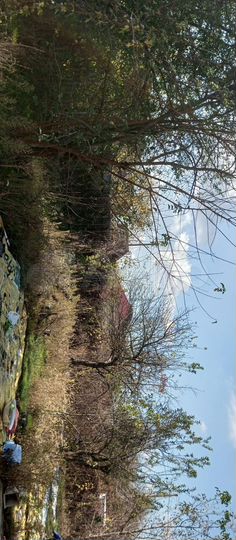 Дача 45 м² на участке 6 сот.