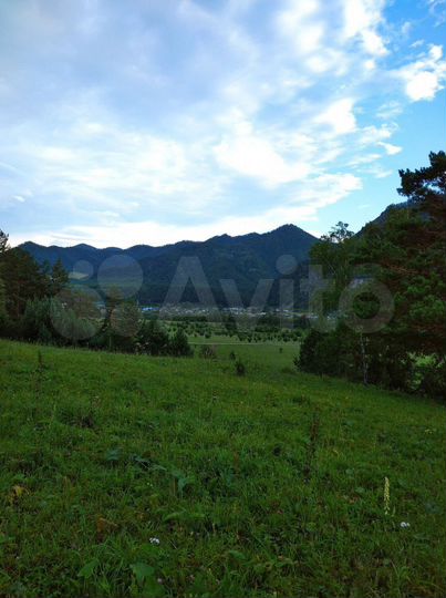 Участок 51 сот. (СНТ, ДНП)