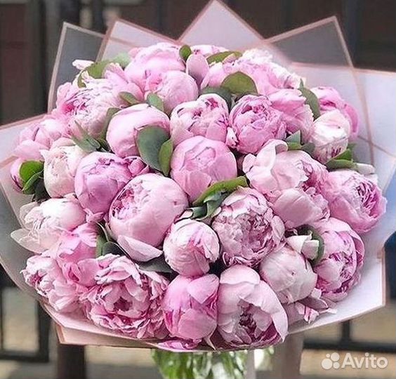 Пионы Букет