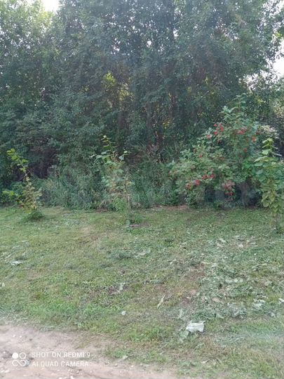 Участок 15 сот. (ИЖС)