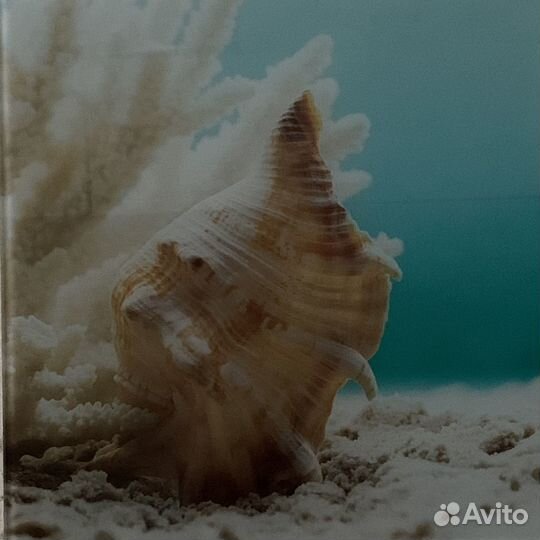 Картина на стекле