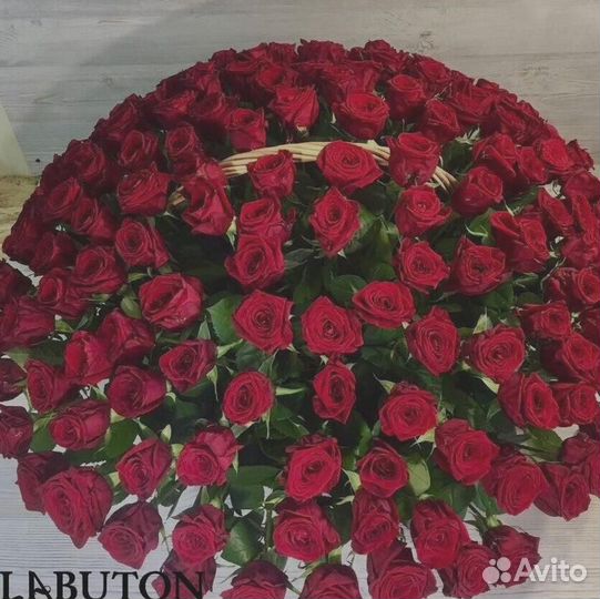 Букет 101 роза красная Цветы