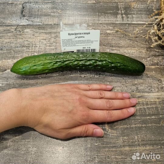 Муляж фрукты овощи новое