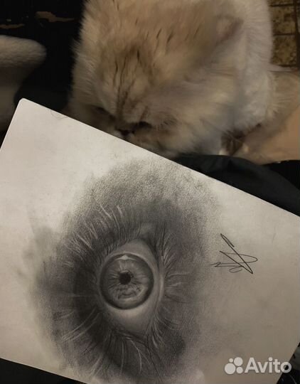 Картина карандашом