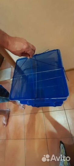 Сушка для овощей и фруктов бу