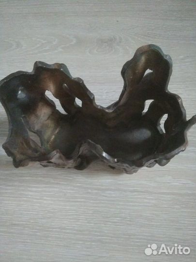 Для аквариума