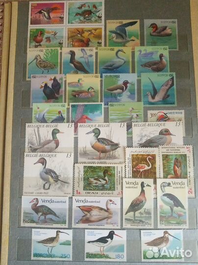 Альбом с марками (птицы) 2