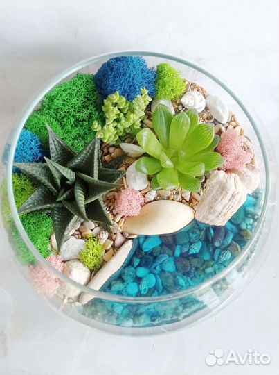 Флорариум 