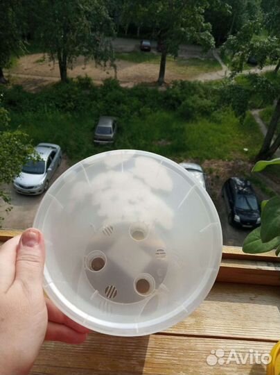 Новый горшок для орхидей