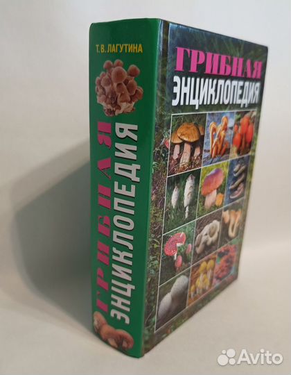 Энциклопедия грибника