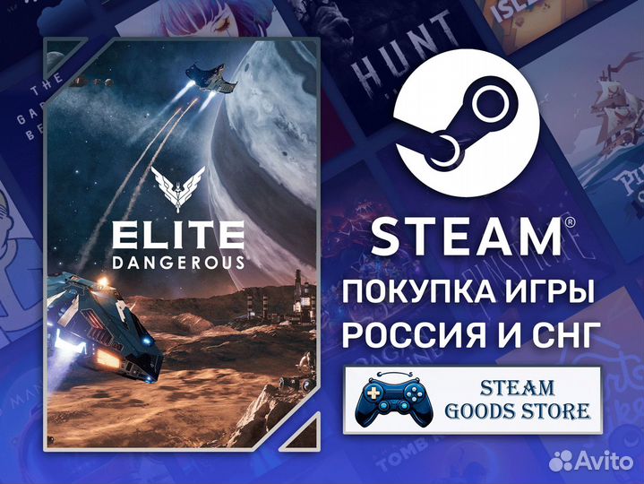 Elite Dangerous (Steam)