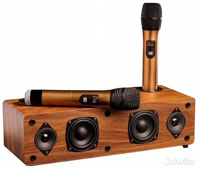 Караоке-система 120W С двумя микрофонами