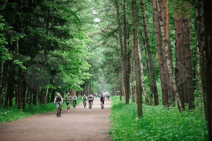 Квартира-студия, 31 м², 2/12 эт.