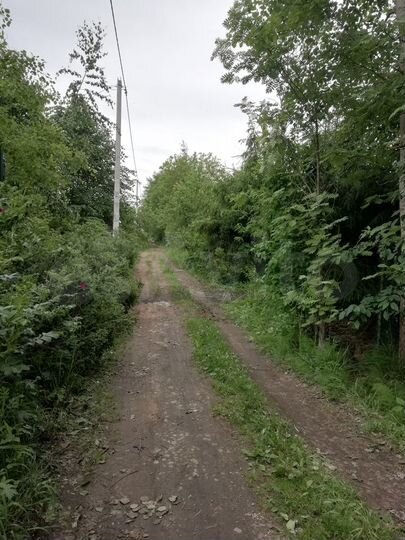 Участок 6,2 сот. (СНТ, ДНП)