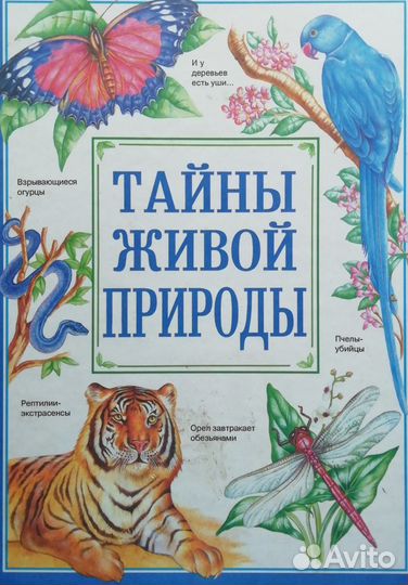 Детские энциклопедии