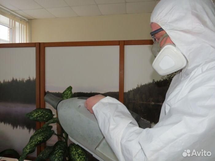 Уничтожение клопов,тараканов,крыс,блох,грибка