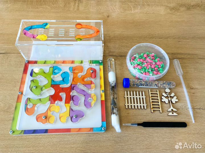 Муравьиная ферма 