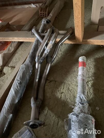 Паук стингег 8кл