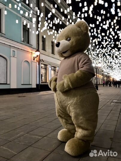 Мишка медведь поздравление белый