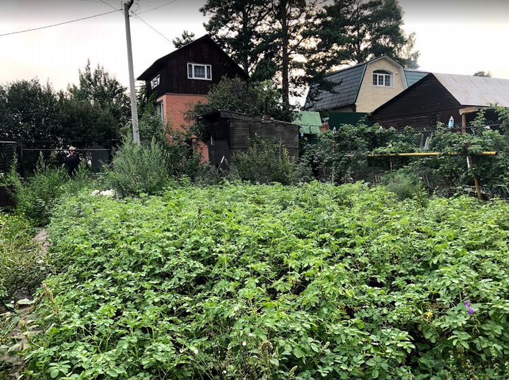 Дача 85 м² на участке 7 сот.