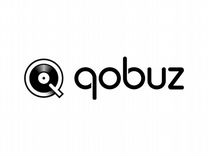 Oobuz Studio Premier Hi-Res (пожизненно)