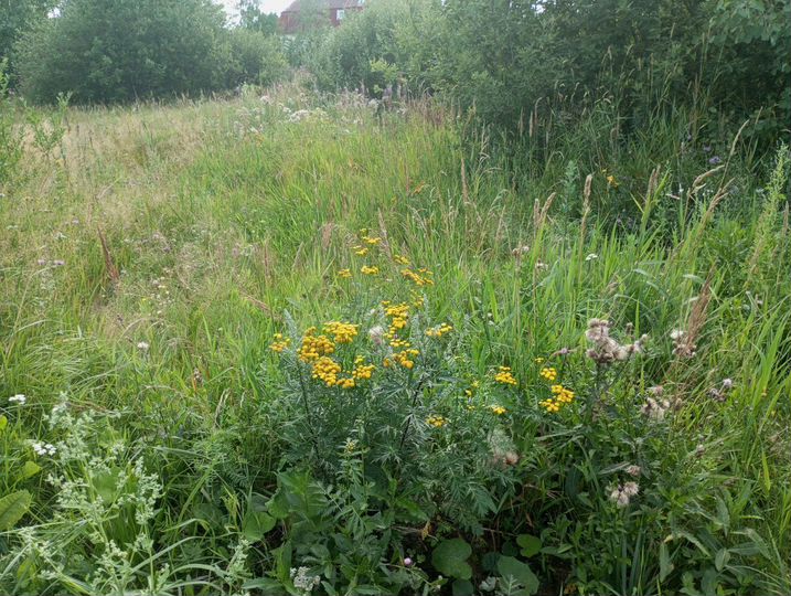 Участок 20 сот. (ИЖС)