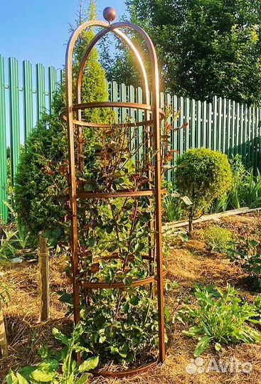 Опора для роз клематиса